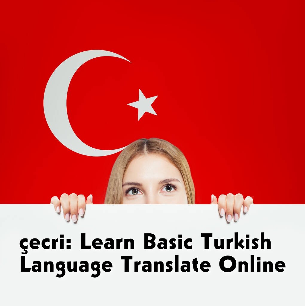 Learning the Turkish Language with Çecri: A Comprehensive Guide